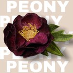 IMG_5014.JPG