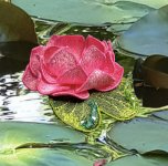 PhotoRoom_20220623_223250.jpg