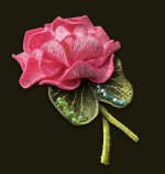 PhotoRoom_20220711_221748.jpg