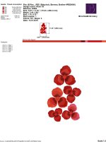 IB Rose 180X300.jpg