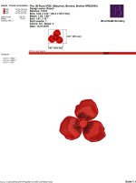 IB Rose3.jpg