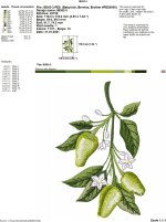 IB362-3.jpg