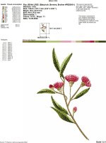 IB344-1.jpg