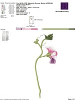 IB318-2.jpg