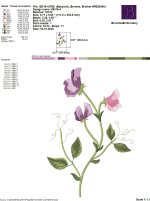 IB318-4.jpg