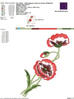 IB222 - 1.jpg