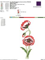 IB222.jpg