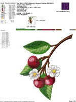 IB306-2.jpg