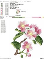 IB437-1.jpg