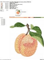 IB437-3.jpg