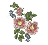 001.jpg
