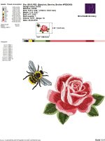 IB183.jpg