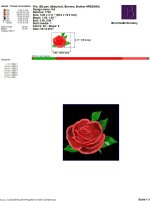 IB5.jpg