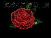 Rosa 2-2.jpg