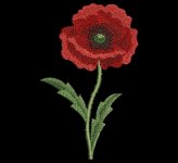 poppy.jpg