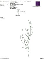 IB190-1.jpg