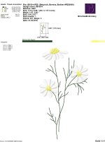 IB190-4.jpg