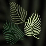9ppOtY9ckgw-670x670.jpg