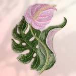 PhotoRoom_20210412_225029.JPG