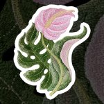 PhotoRoom_20210412_225202.JPG