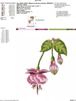 IB401-4.jpg