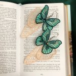 351D4C66-8D8A-4CFB-8BA6-6FB9143FE7E7.JPG
