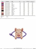 MINI PIG_color.jpg