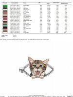 kitten_color.jpg