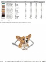 corgi_color.jpg