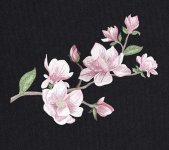 PhotoRoom_20230506_021605.jpg