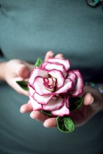 IMG_0484 copy.jpg