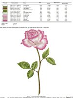 IB471color.jpg