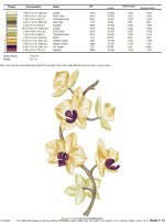 IB486 color.jpg