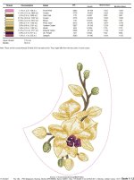 IB489-1color.jpg
