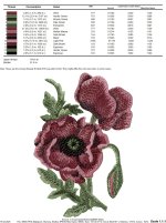 IB565color.jpg